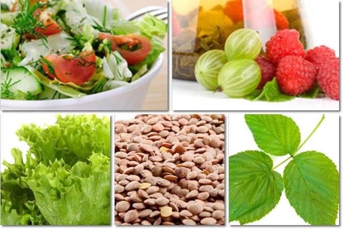 продукты содержащие фолиевую кислоту