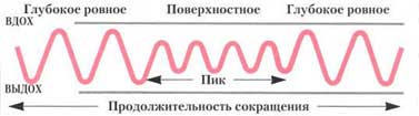 как тужиться при родах
