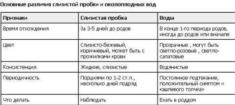 предвестники родов