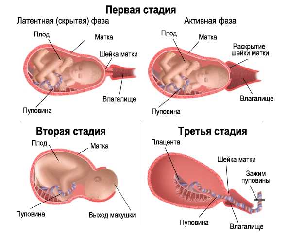 как вести себя при родах