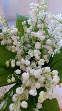 Самомама