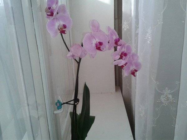 2013-11-23 09.31.47.jpg