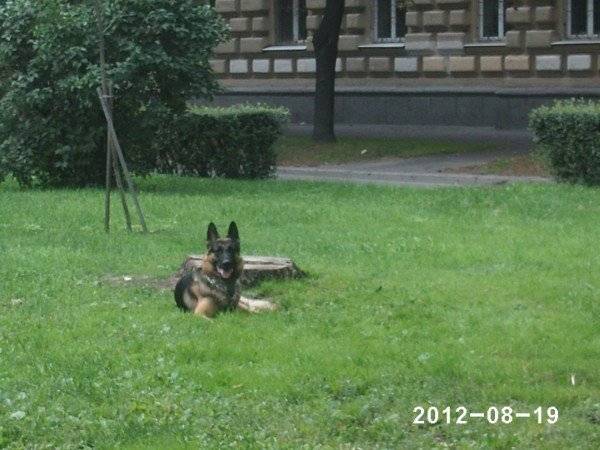 PHOT0009 (2).JPG