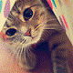 38102.gif