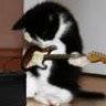 avatar-cats_115.jpg