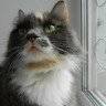 DSCN0492.JPG